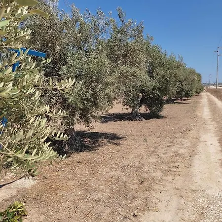 Vita In Campagna *